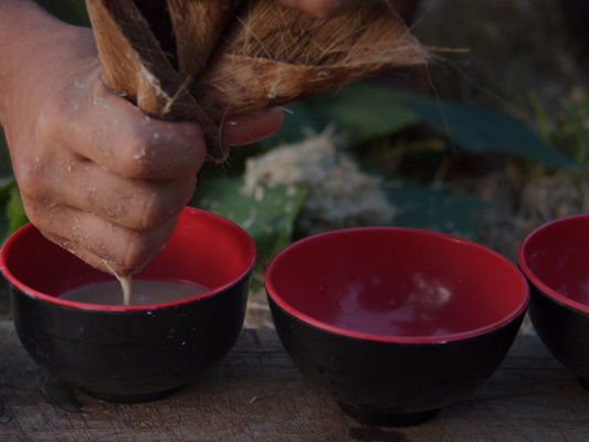 how long does kava last?