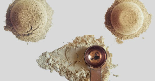 Kava root powder