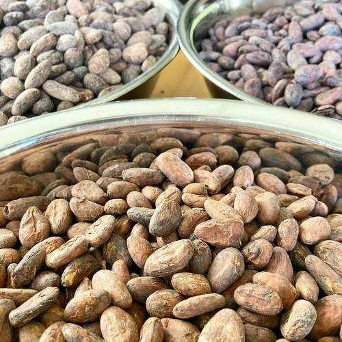 Cacao Beans | Art of Kava