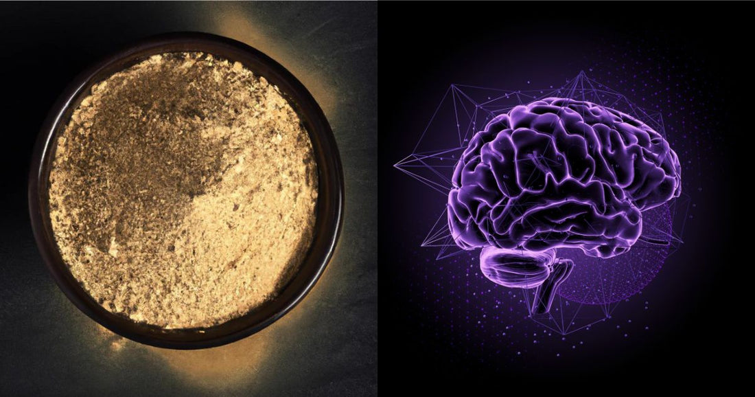 How Does Kava Work in the Brain