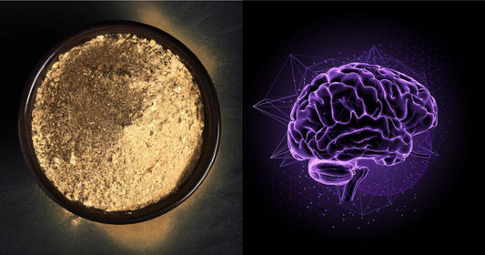 How Does Kava Work in the Brain