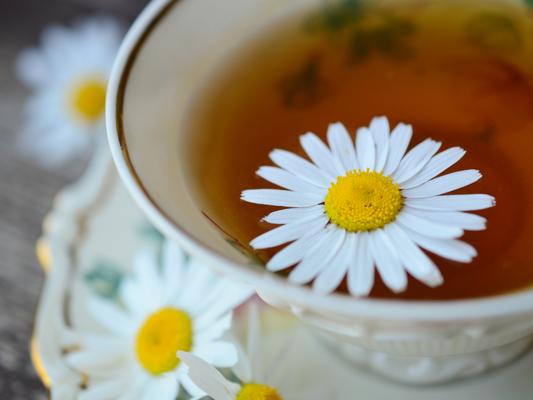 Chamomile Tea Benefits