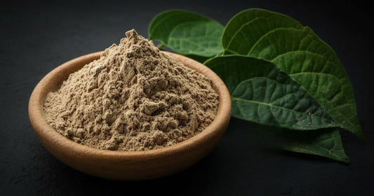 Does Instant Kava Taste Like Regular Kava? What to Expect