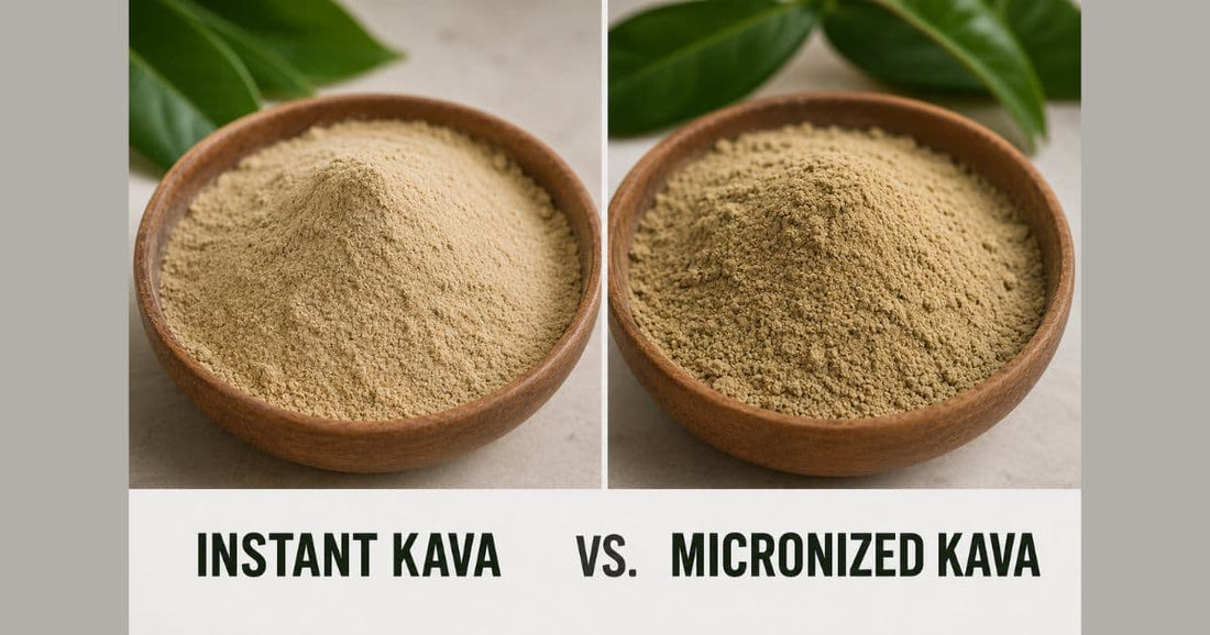 Instant Kava vs. Micronized Kava: What’s the Difference?