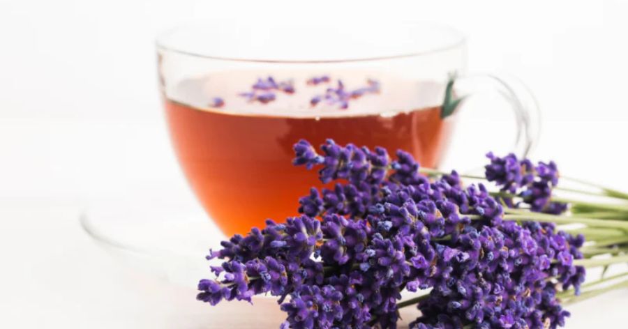 Lavender Tea