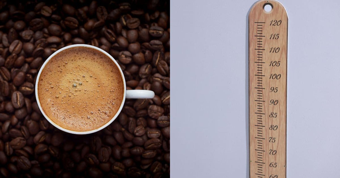 Coffee beans with a ruler