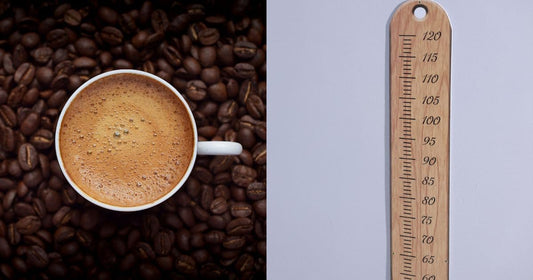 Coffee beans with a ruler
