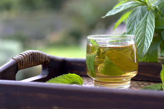 spearmint tea benefits
