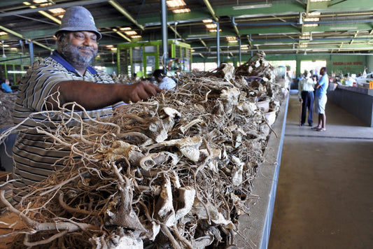 kava grown in fiji, vanuatu, solomon islands and tonga. Your root and pestle kava root