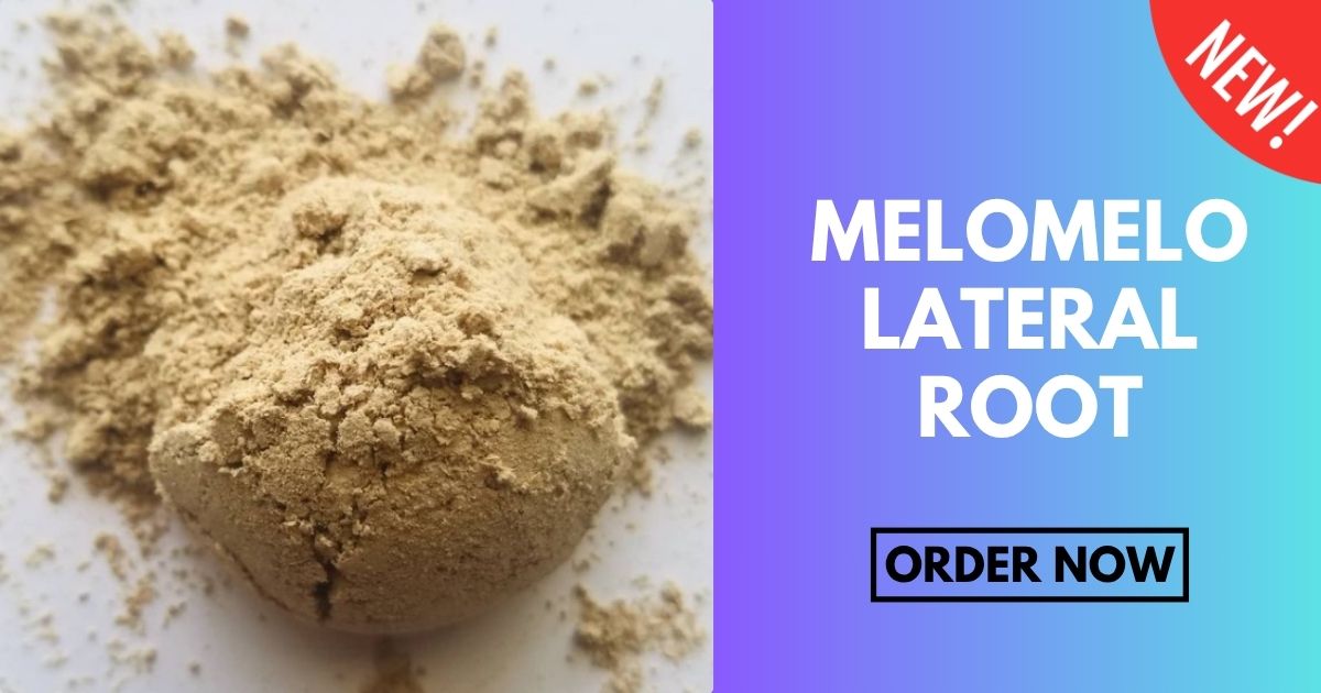 melomelo lateral kava root powder
